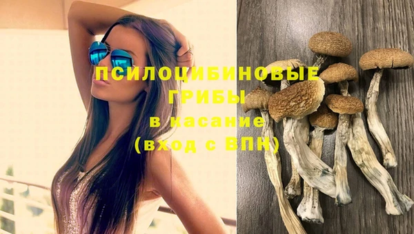 экстази Алексин