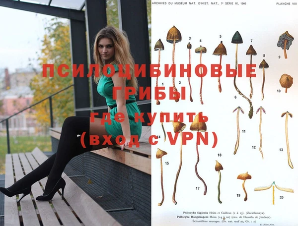 гашишное масло Алзамай